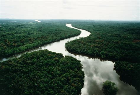 Two Men Set Out To Find Borneo’s Jungle Tribes..